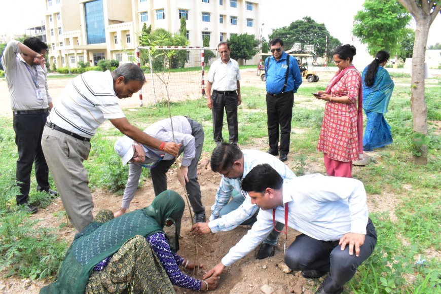 पर्यावरण बचाना हम सबकी जिम्मेदारीः कुलपति डॉ. आलोक कुमार मिश्रा 